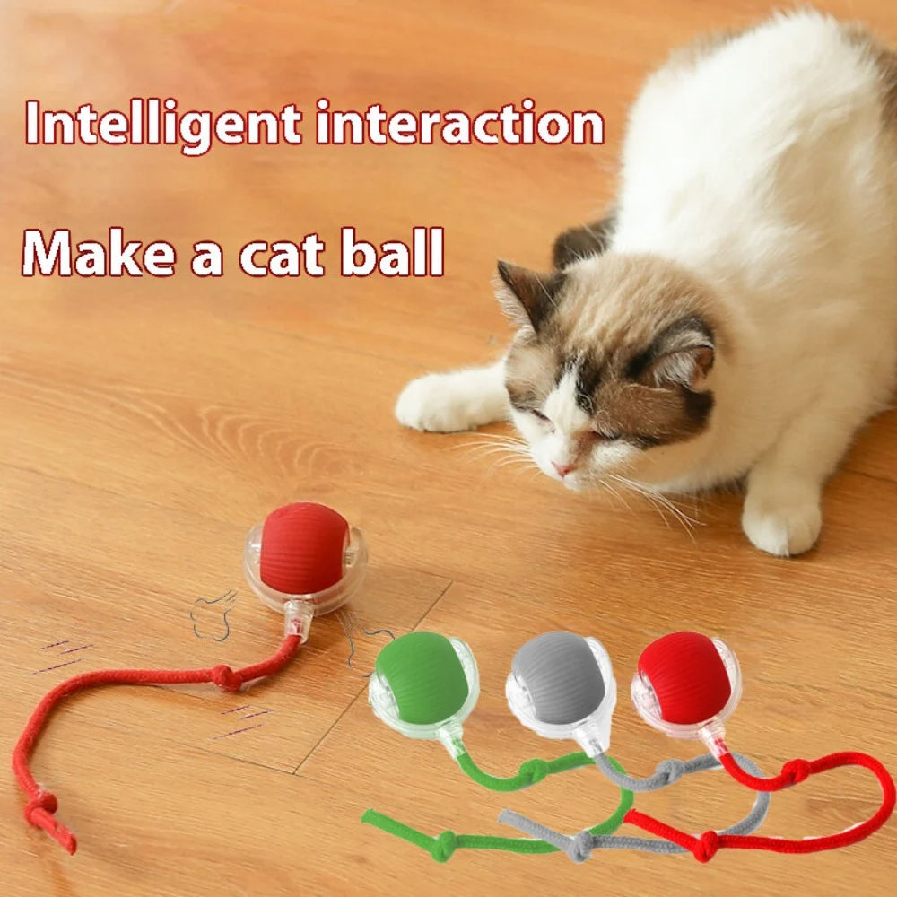Automatic Rolling Ball Cat Toy