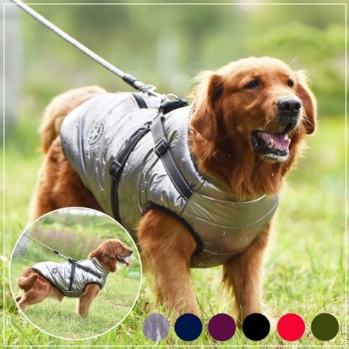 Nylon Adjustable Dog Harness