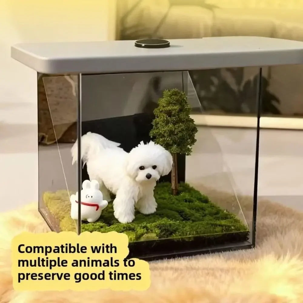 Caja holográfica 3D personalizada para mascotas