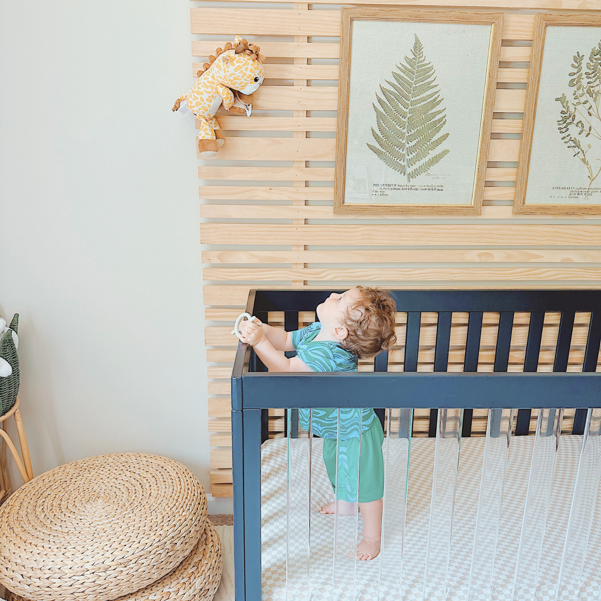 zooby® baby monitor | Jordan Giraffe