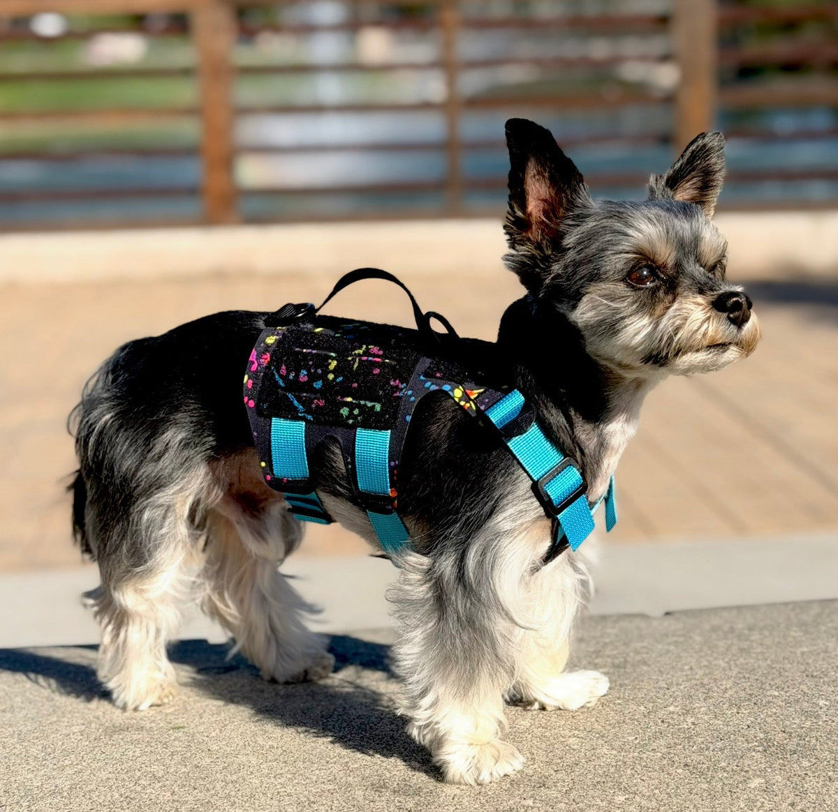 K9R - M5 MOLLE Light Vest